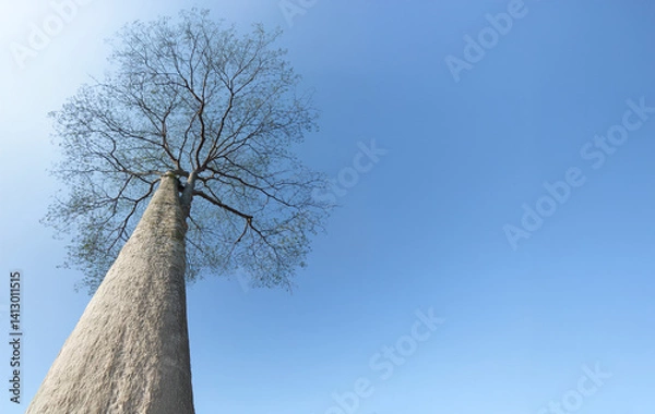 Fototapeta A towering leafless tree reaches toward the clear blue sky, captured from a dramatic low-angle perspective.