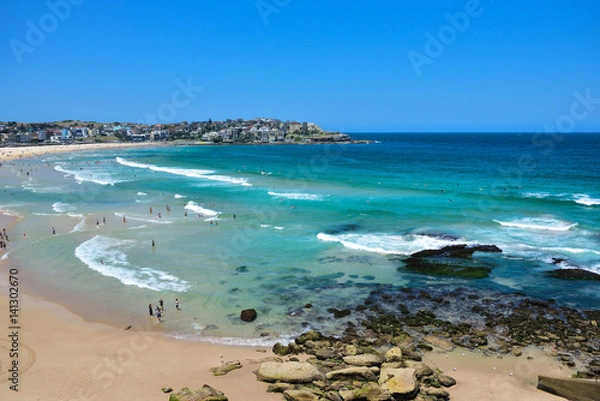 Fototapeta Bondi beach in summer