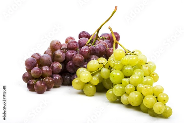 Obraz grapes