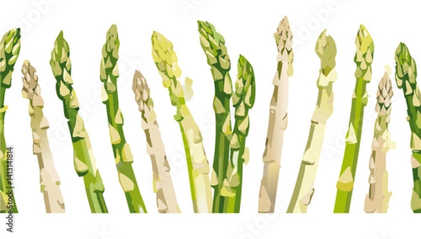 Obraz set of white and green asparagus vector design
