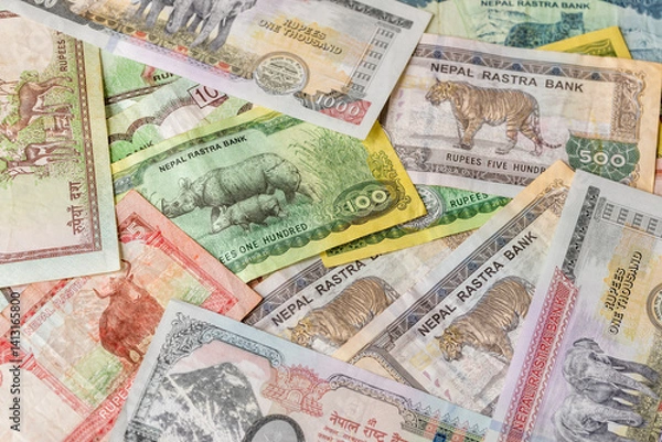 Obraz Nepal money. Nepalese rupees. financial background. scattered banknotes. Business economic concept. Animals symbolizing Nepal