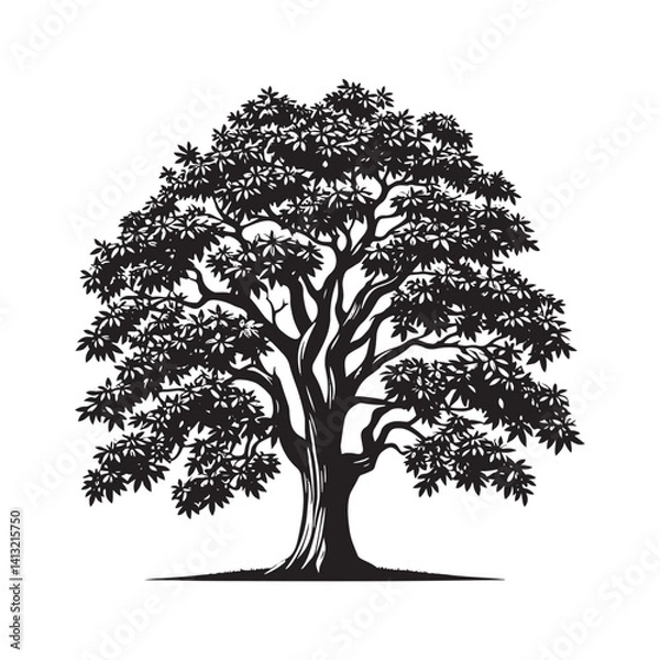 Obraz Pecan Tree Vector - Pecan tree minimalist Design - Pecan tree Illustration - black and white pecan tree art.