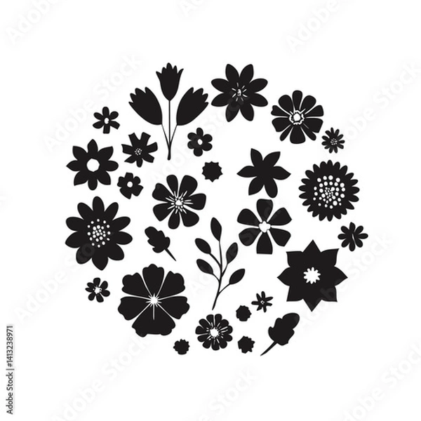 Obraz Floral design element set,flower design set vector illustration