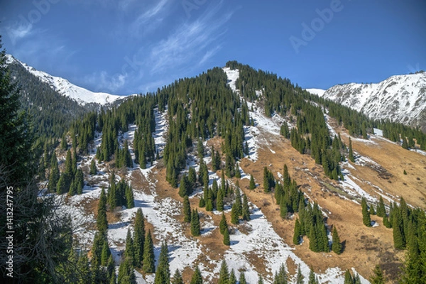 Obraz mountain landscape with snow