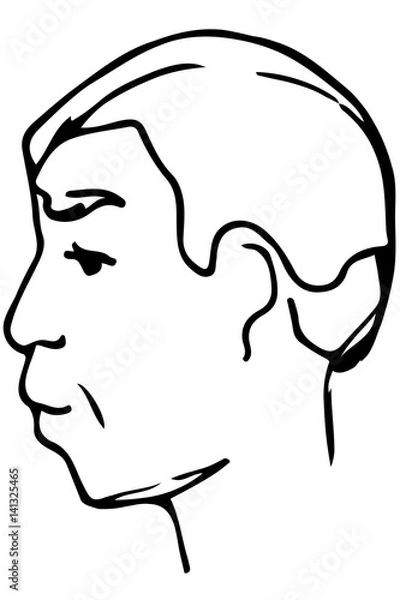 Fototapeta vector sketch of the face of an adult male