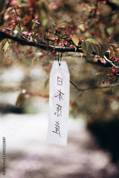 Obraz Faded cherry blossoms in the Botanical Garden, Warsaw, Poland. There is a sign hanging on the tree with an inscription in Chinese. Alley with Japanese sakura trees in the Polish Botanical Garden.