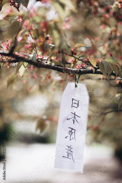 Obraz Faded cherry blossoms in the Botanical Garden, Warsaw, Poland. There is a sign hanging on the tree with an inscription in Chinese. Alley with Japanese sakura trees in the Polish Botanical Garden.