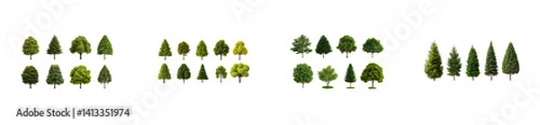 Fototapeta Diverse Tree Collection on Black Background, Landscaping, cut out transparent