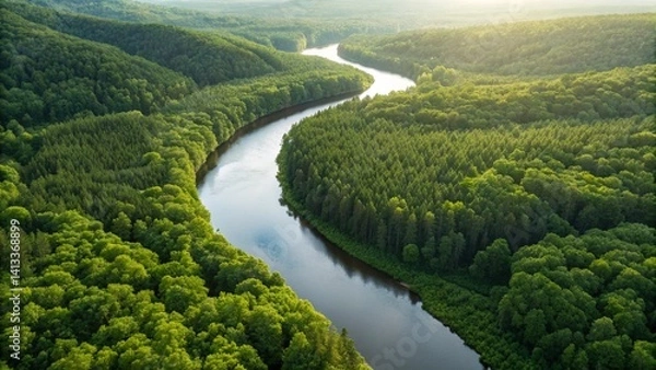 Fototapeta An aerial view of a winding river flowing through a dense, lush green forest, with sunlight reflecting off the water's surface