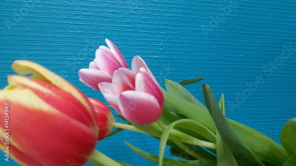 Obraz Frühlingsblumen