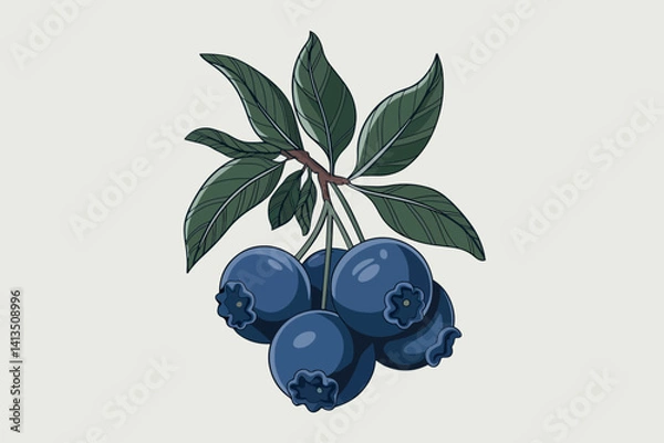 Obraz Vector illustration of a bunch of blueberries hanging on a branch