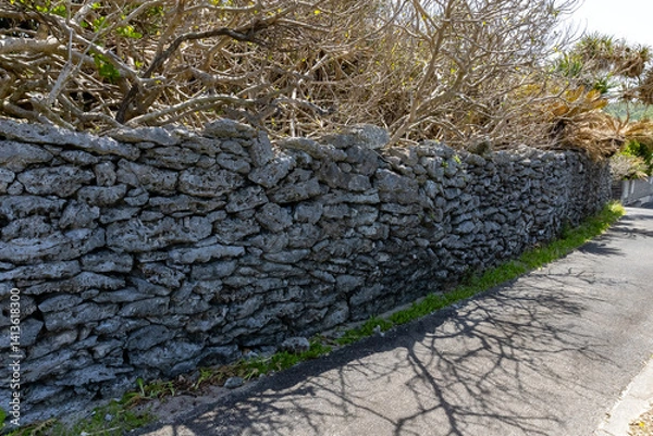 Obraz 奄美大島　佐仁集落　サンゴの石垣