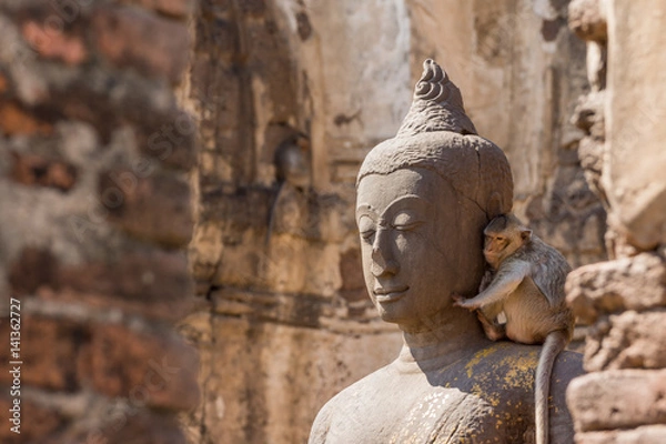 Fototapeta Buddha image with monkey in the ruined ancient.