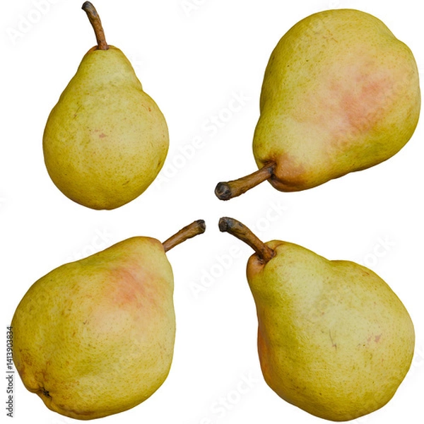 Fototapeta Four different angles of a 3D Pear Fruit on Alpha Background