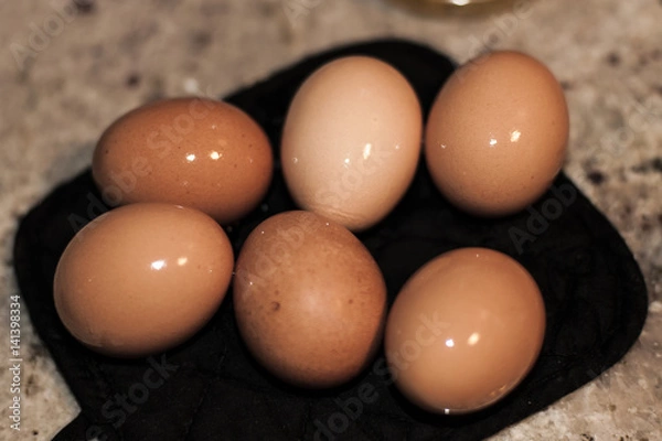 Obraz Brown Eggs
