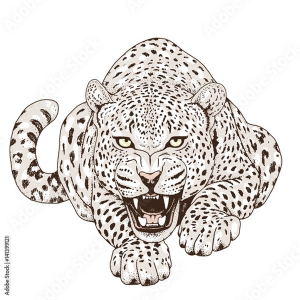 Fototapeta Leopard face tattoo ,Vector illustration, print