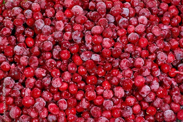 Obraz frozen cherry