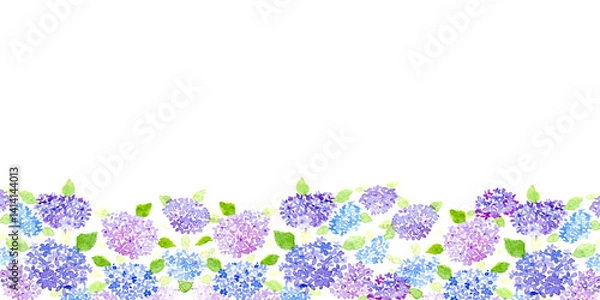 Obraz 水彩アジサイフレーム