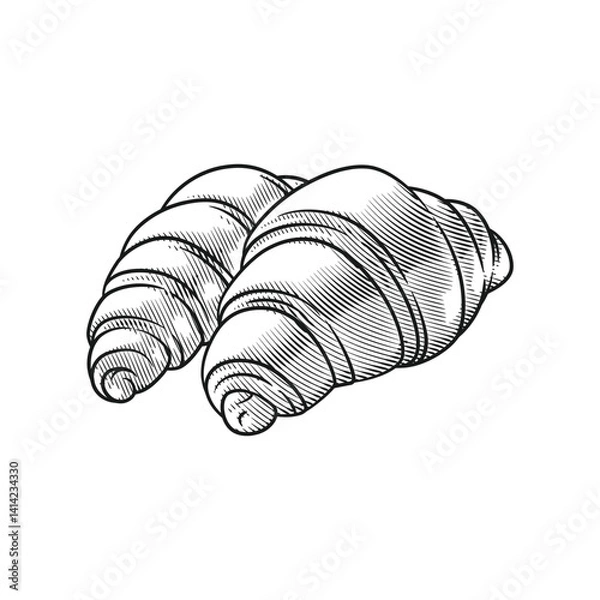 Obraz Croissant Line Art in Engraving Style