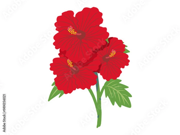 Obraz 赤いハイビスカスのイラスト