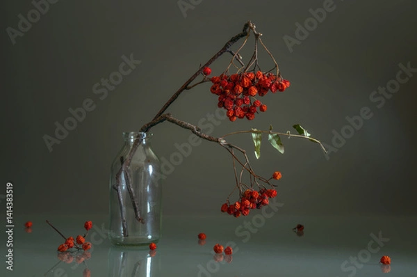 Fototapeta Still life with a rowan branch with red berries in a glass bottle on a dark background. Minimalism.