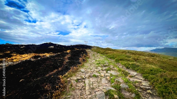 Fototapeta Mountain trail between scorched land and green terrain after wildfire. Concept of climate impact, environmental recovery, and ecological contrast.