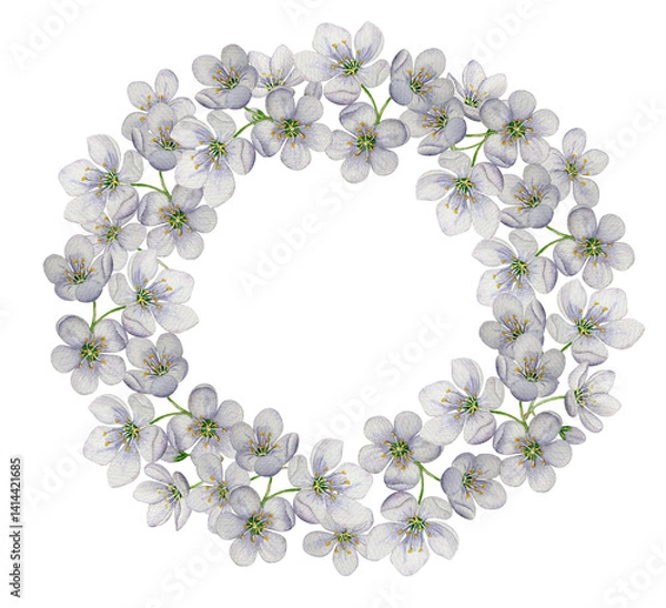 Obraz Round frame cherry blossoms. Watercolor illustration. White background. For design, backgrounds
