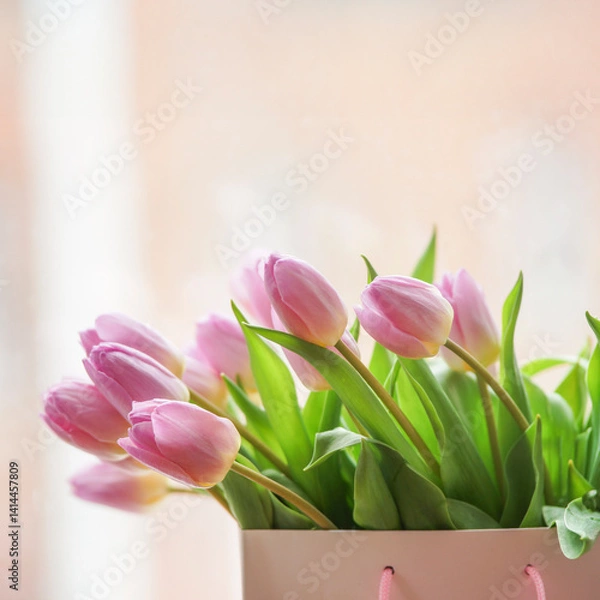 Fototapeta Delicate pink tulips flowers bunch at pastel background with copy space