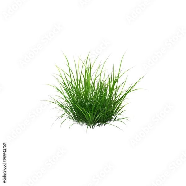 Fototapeta Lush Green Grass Tuft, Isolated on Transparent Background