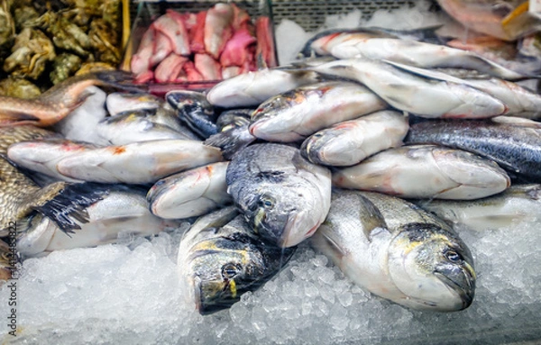 Obraz Fresh seafood display with various fish varieties on ice in a market during daytime