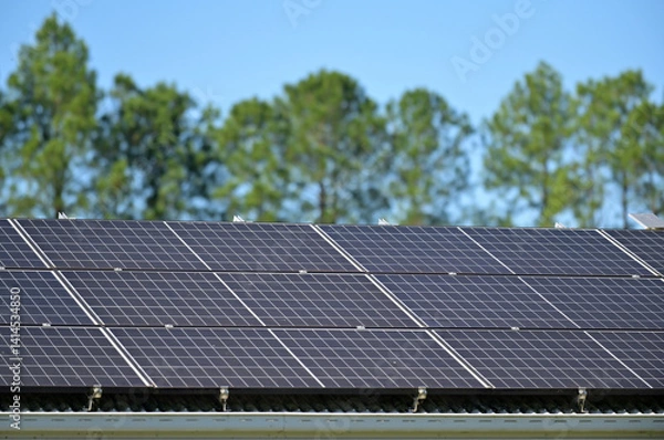 Fototapeta Solar panels on a roof against raw of green trees