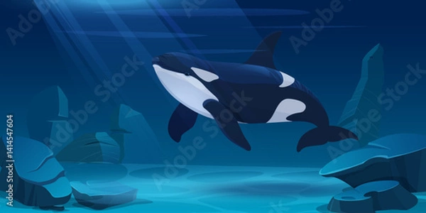Obraz Orca swimming through an underwater scene with rocks and light rays. Marine wildlife in a natural ocean habitat.  Vector Illustration
