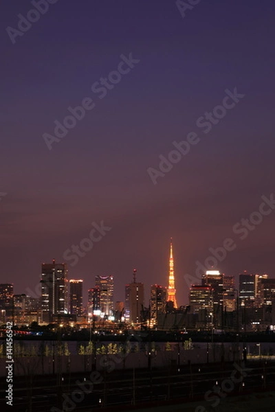 Obraz 東京夜景
