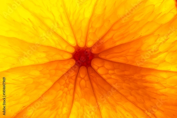 Fototapeta Texture of the flesh of a macro orange,close up shot of a orange flesh,Orange fruit juicy carpels or orange flesh close up. Macro shot of orange flesh structure.