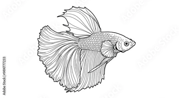 Obraz Beautiful Betta Fish Coloring Page Illustration with Elegant Flowing Fins Detailed Line Art for Coloring Fun