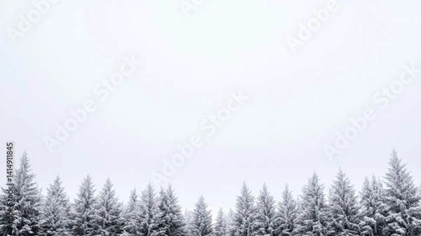 Fototapeta Snow-covered trees create serene winter landscape under cloudy s
