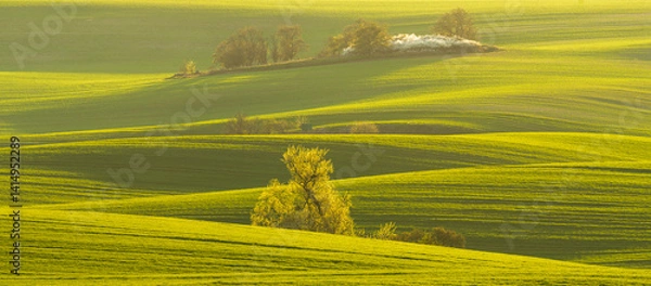 Fototapeta Beautiful spring fields in the Oder river valley in Brandenburg, Germany