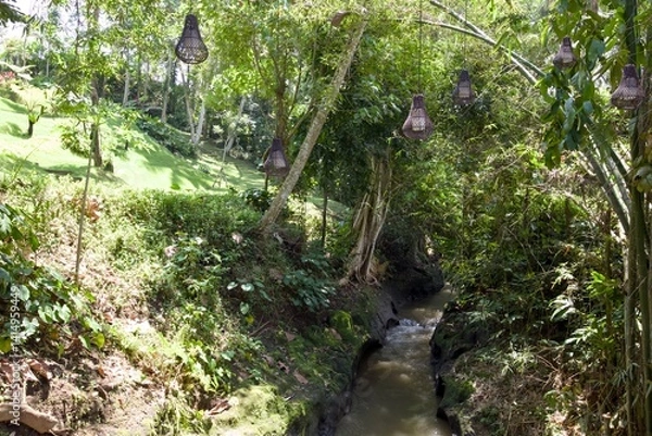 Fototapeta stream in the forest