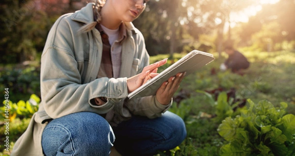 Fototapeta Farm, tablet and typing with hands of woman in nature for environment, plant field research or crop yield forecast. Sustainability, growth or agriculture with person in countryside for soil ph sensor