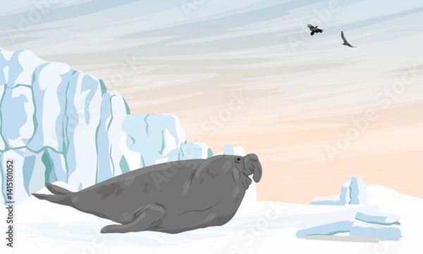 Fototapeta Elephant seal crawling on snow. Realistic vector landscape