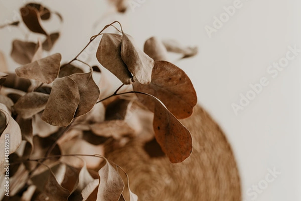 Obraz Soft Focus Macro of Dried Eucalyptus Leaves in Warm Autumn Light