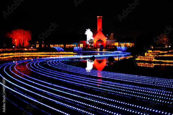 Fototapeta なばなの里　イルミネーション