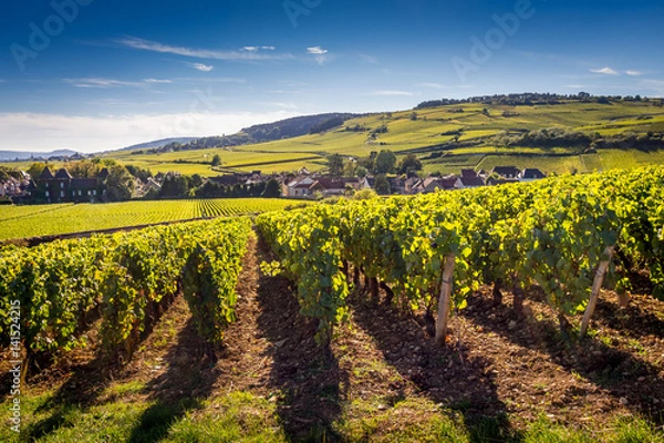 Obraz Wioska Côte de Beaune
