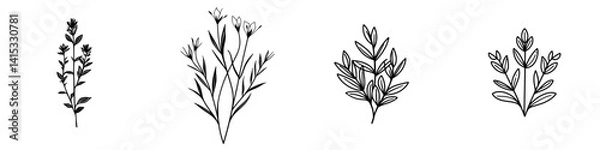 Fototapeta Elegant vector illustrations of various botanical designs featuring delicate flowers and foliage suitable for floral branding and decor