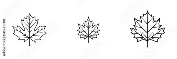 Fototapeta Vector illustration of three distinct maple leaves in various sizes, showcasing intricate details of leaf veins and shapes