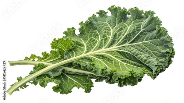 Fototapeta Leafy kale with curly edges and organic structure, showcasing vibrant green color and fresh texture. Perfect for healthy cooking and nutritious meals