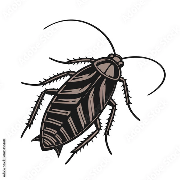 Obraz : A Cockroach vector art illustration.