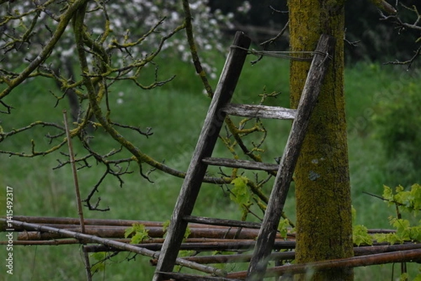 Obraz Vecchia scala di legno