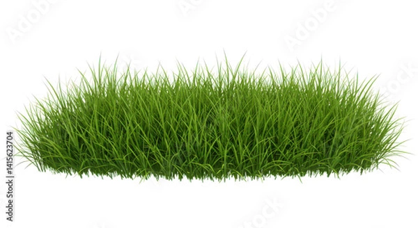 Fototapeta A patch of lush green grass isolated on a black background with a transparent edge effect look