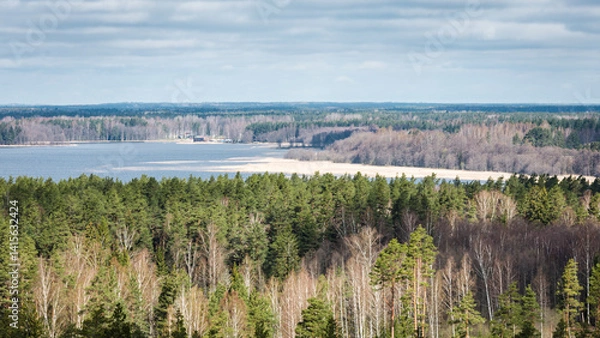 Fototapeta Latvian nature spring landscape with coniferous and deciduous forests, a lake visible in the distance. View from above. The sky is overcast, cloudy.